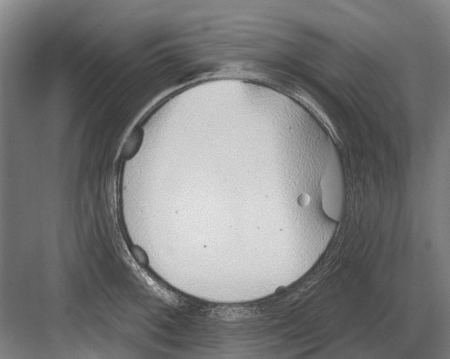 X0000082161092200702162228