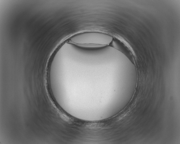 X0000082161093200702162228