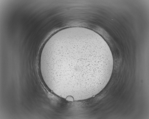 X0000082161094200702162228