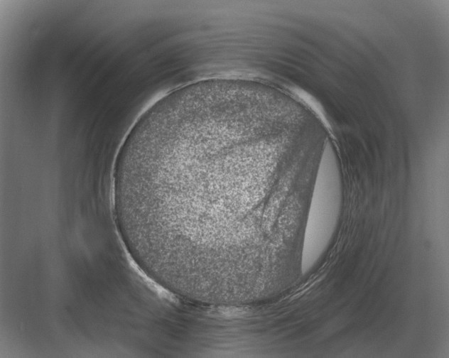 X0000082161095200702162228