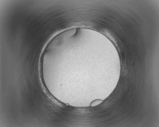 X0000082161096200702162228