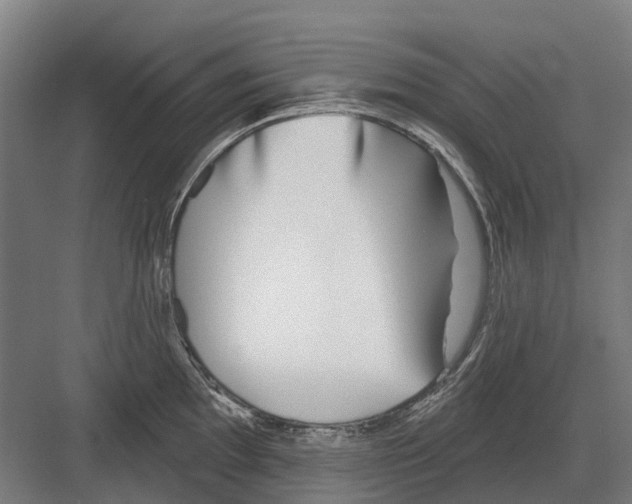 X0000082161097200702162228