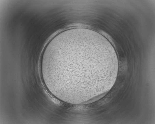 X0000082161098200702162228