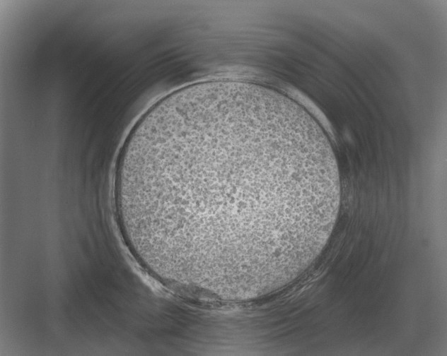 X0000082161099200702162228