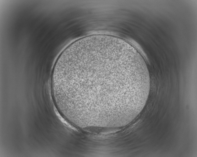 X0000082161100200702162228