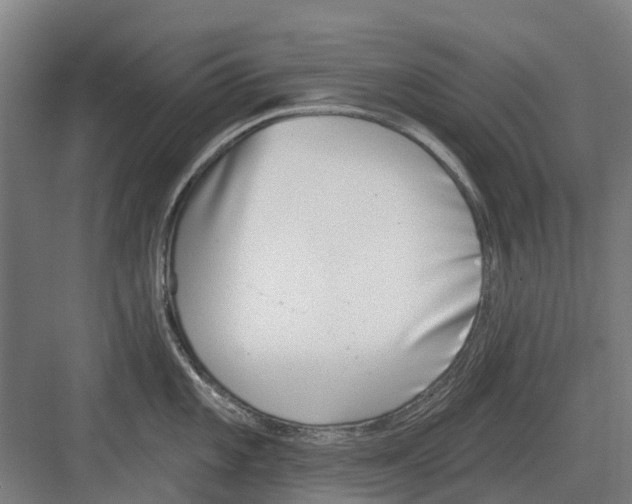 X0000082161101200702162228