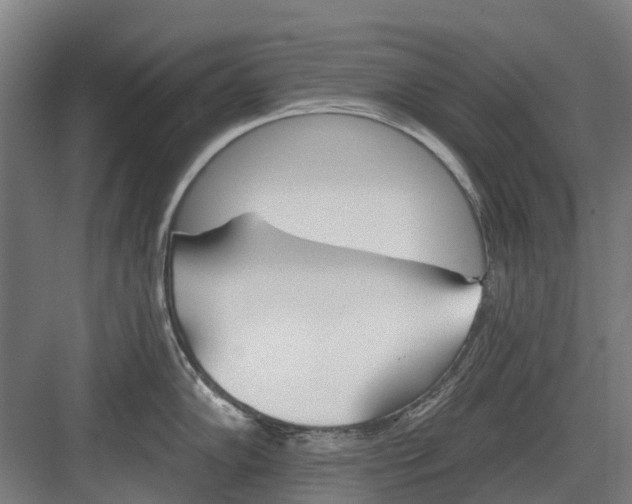 X0000082161102200702162228