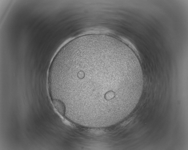 X0000082161103200702162228