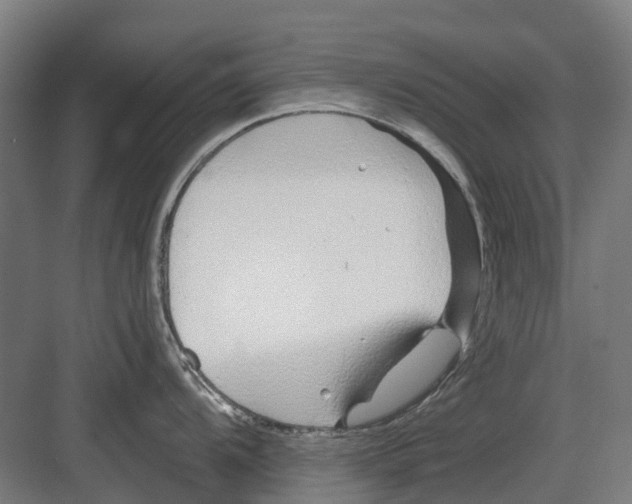 X0000082161104200702162228