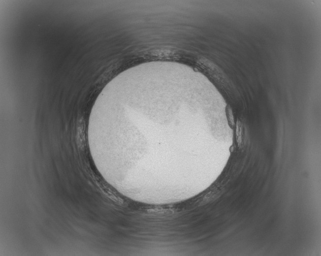 X0000082161107200702162227