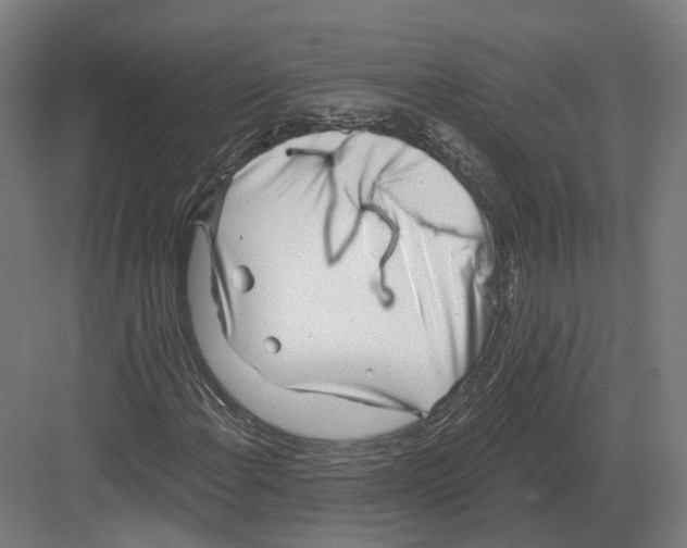 X0000082161108200702162227