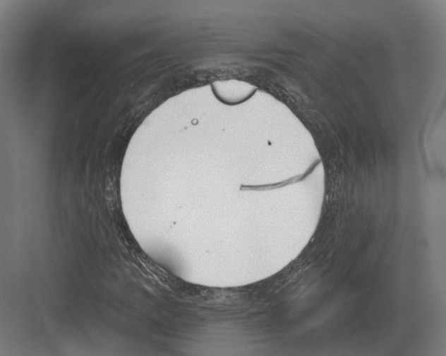 X0000082161109200702162227