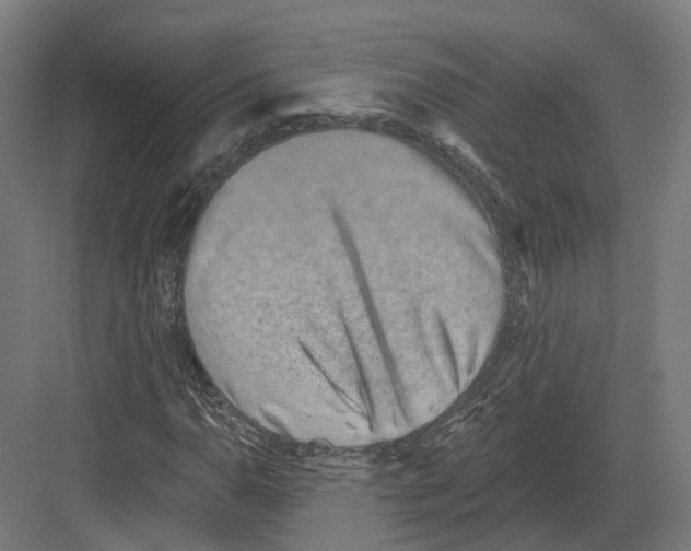 X0000082161110200702162227