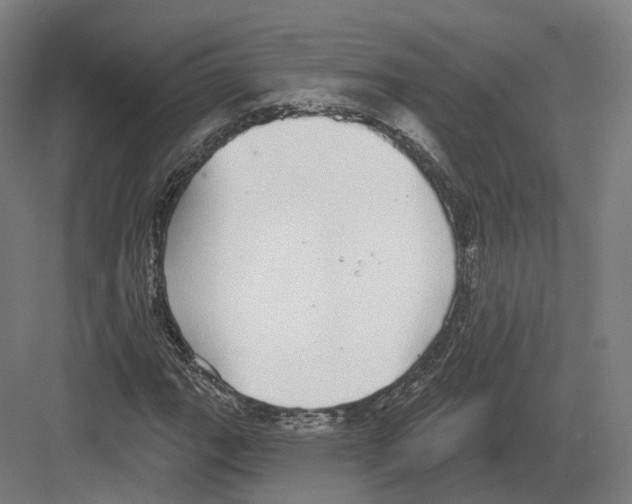 X0000082161111200702162227