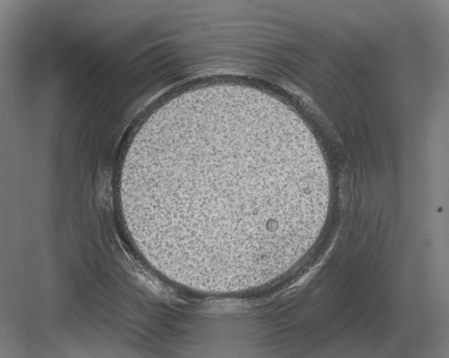 X0000082161113200702162227