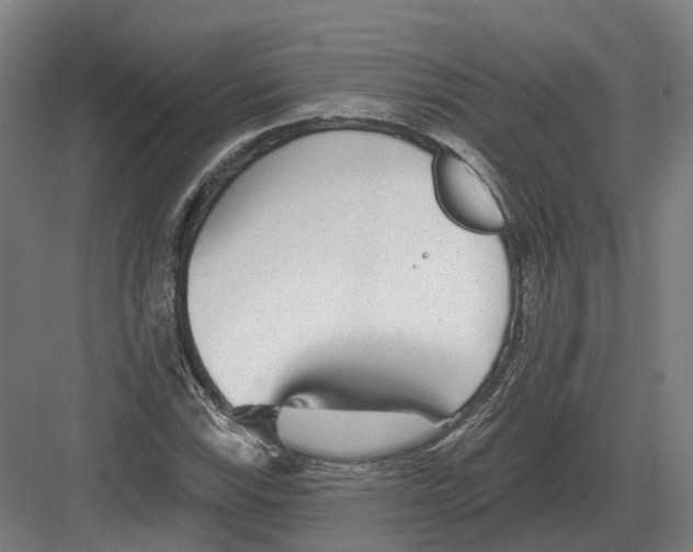 X0000082161115200702162227