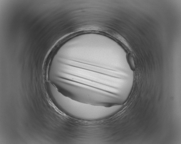 X0000082161116200702162227