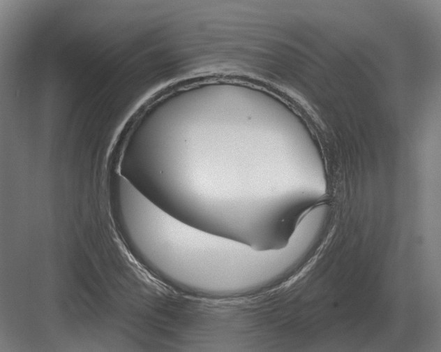 X0000082161118200702162227