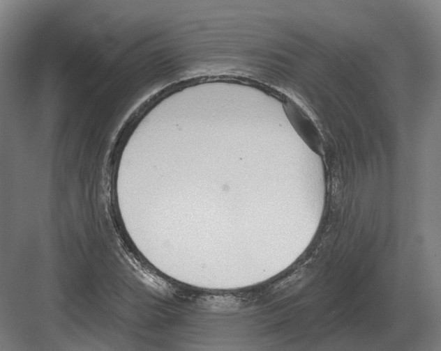 X0000082161119200702162227