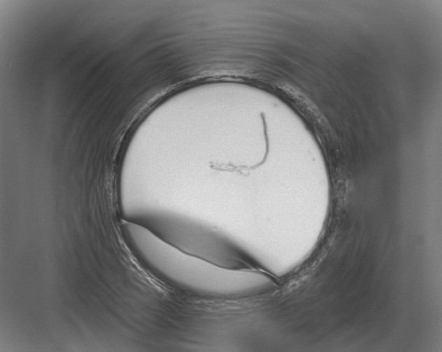 X0000082161121200702162227