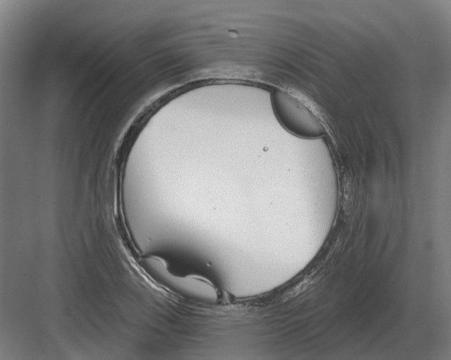 X0000082161123200702162227