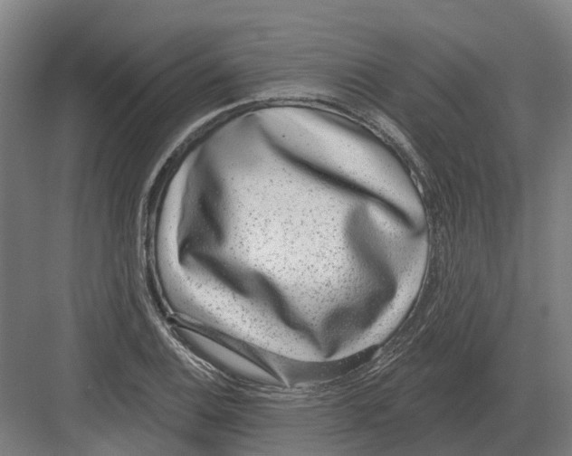 X0000082161124200702162227