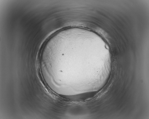 X0000082161125200702162227