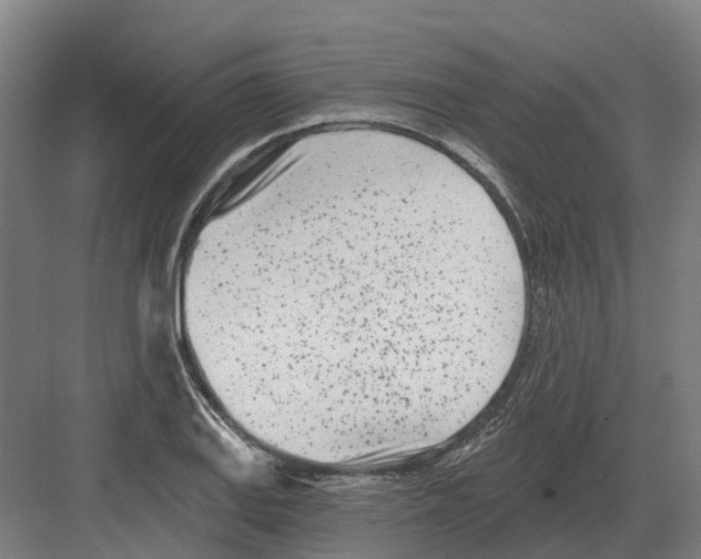 X0000082161127200702162227