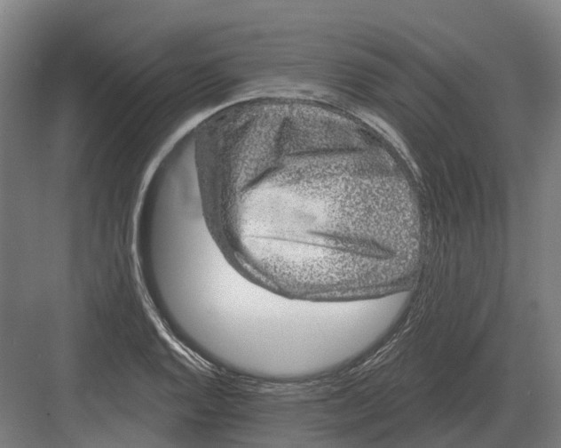 X0000082161128200702162227