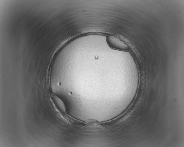 X0000082161129200702162227