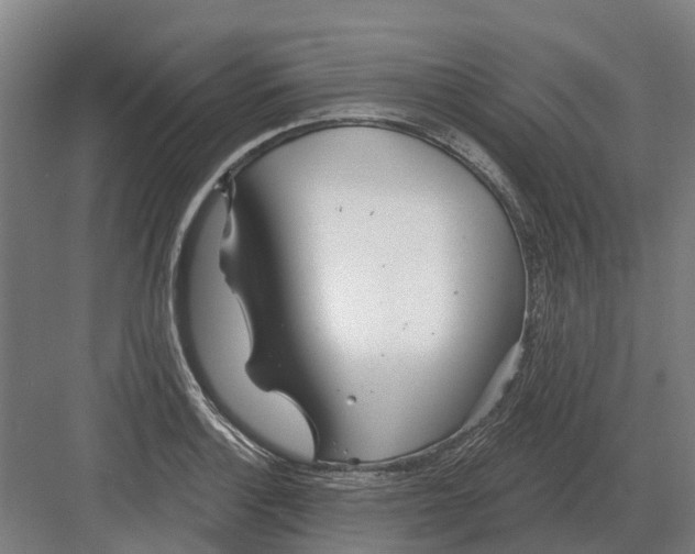 X0000082161132200702162227