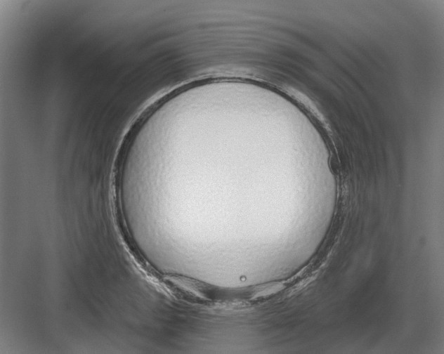 X0000082161133200702162227