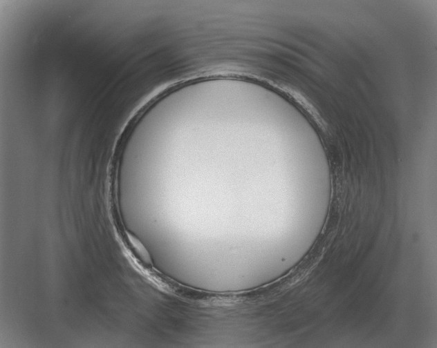 X0000082161134200702162227