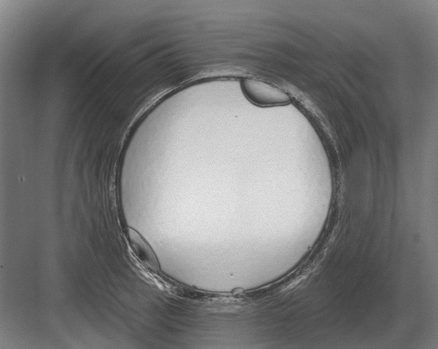 X0000082161137200702162227