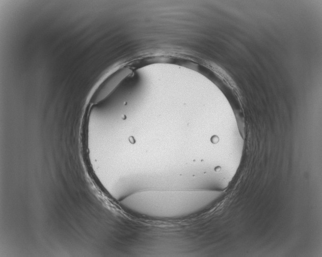 X0000082161138200702162227