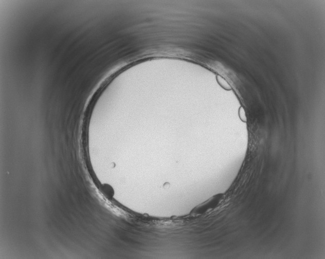 X0000082161139200702162227