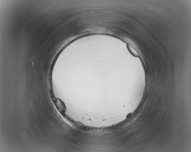 X0000082161141200702162228