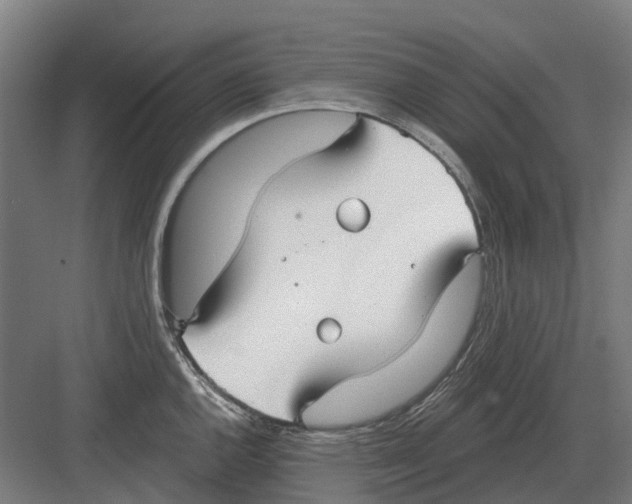 X0000082161144200702162228