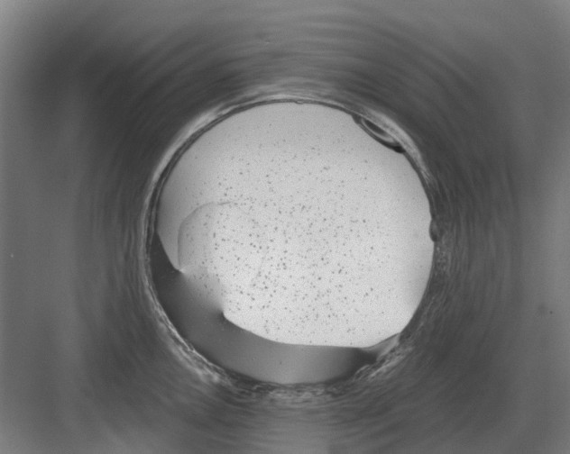 X0000082161146200702162228