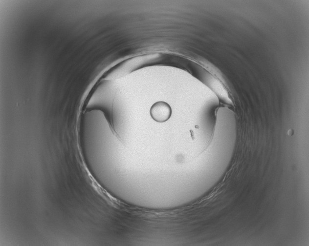 X0000082161148200702162228