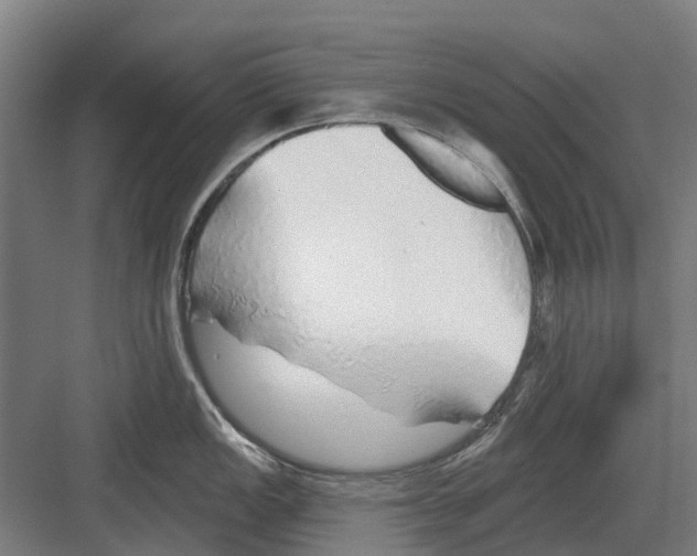 X0000082161149200702162228