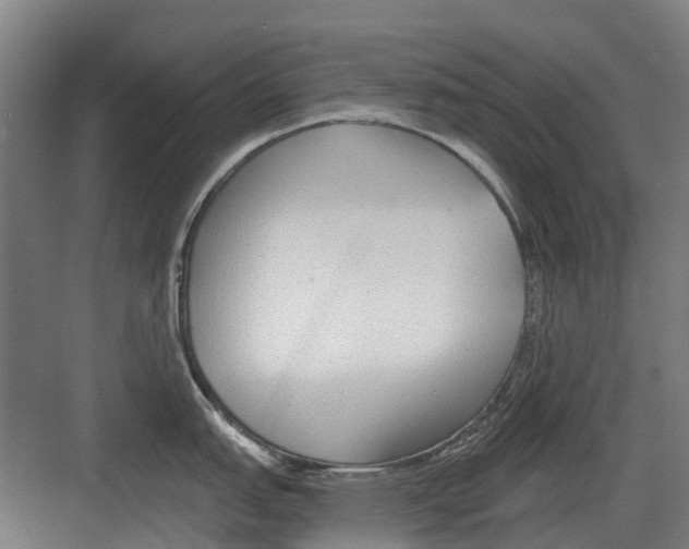 X0000082161151200702162228