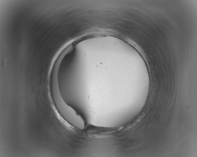 X0000082161152200702162228