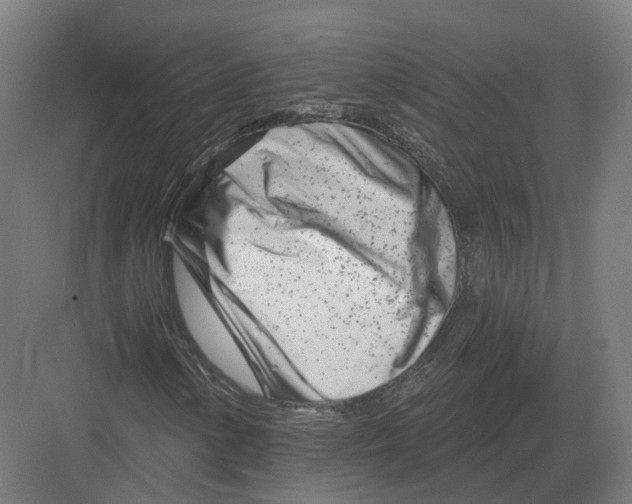 X0000082161154200702162227