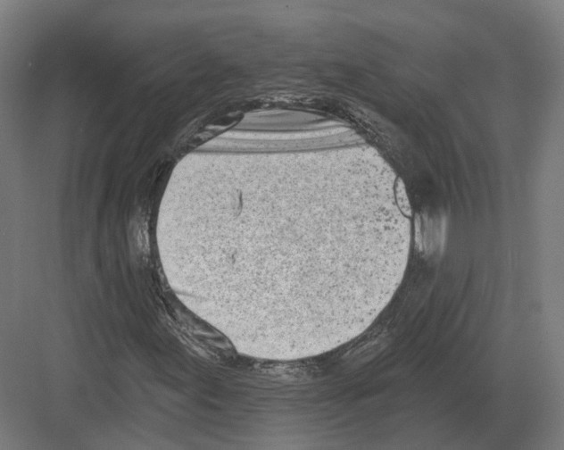 X0000082161155200702162227