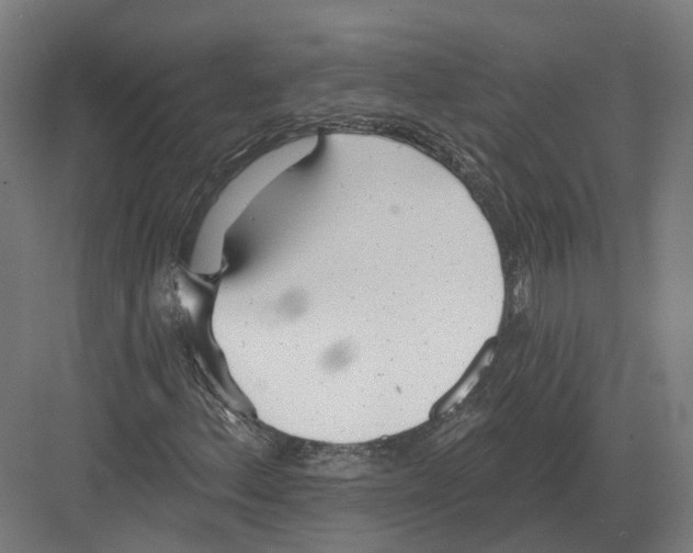 X0000082161156200702162227