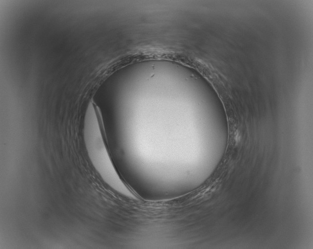 X0000082161157200702162227