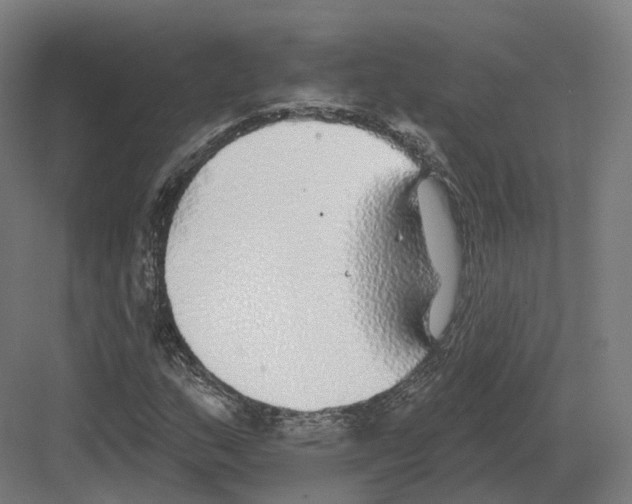 X0000082161159200702162227