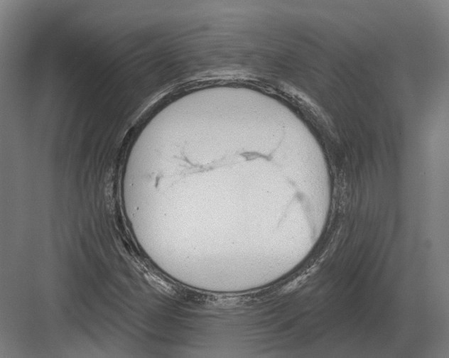 X0000082161162200702162227