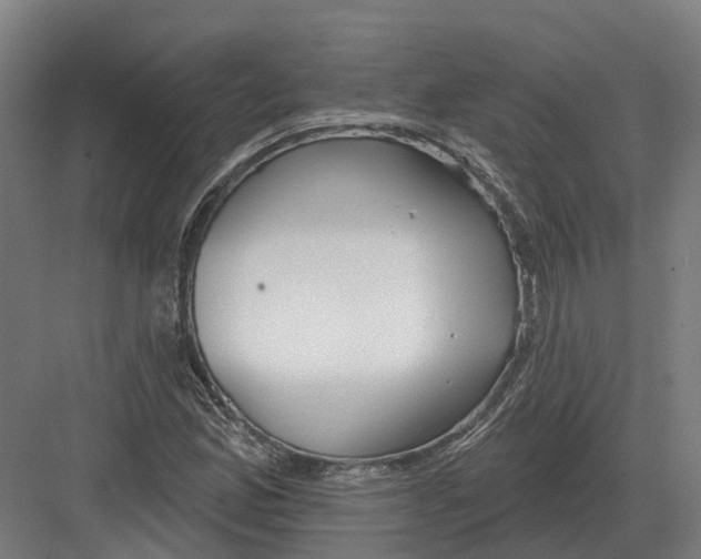 X0000082161165200702162227